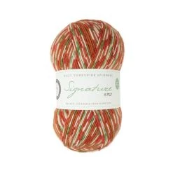 Best Pirce ⌛ West Yorkshire Spinners Gingerbread Signature 4 Ply Yarn 100g ????