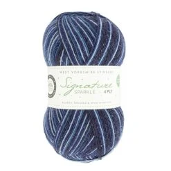 Top 10 ???? West Yorkshire Spinners Silent Night Signature Sparkle 4 Ply 100g ✨